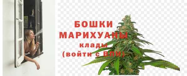сатива Билибино