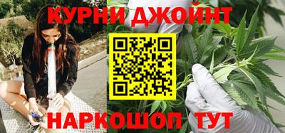 сатива Новокубанск