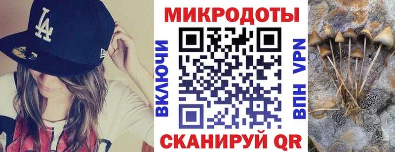 Псилоцибиновые грибы Cubensis  купить закладку  Шали 