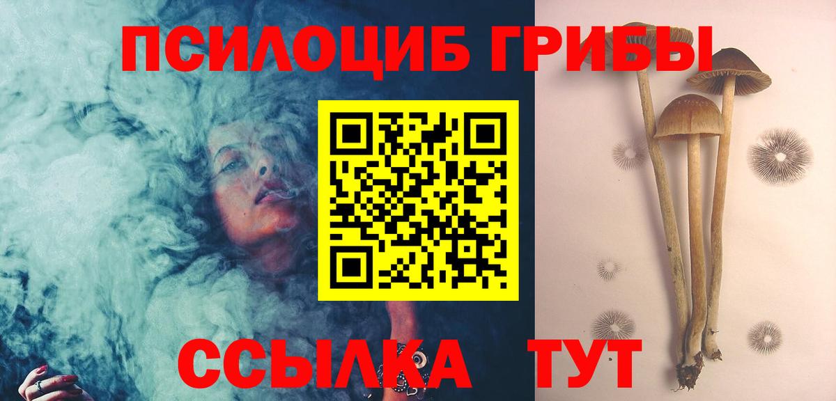 Шали  Псилоцибиновые грибы MAGIC MUSHROOMS  Вход с VPN 